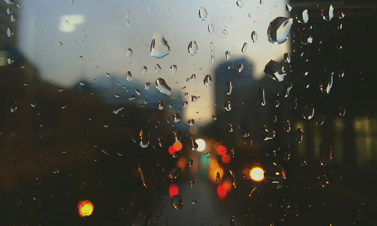 Rain